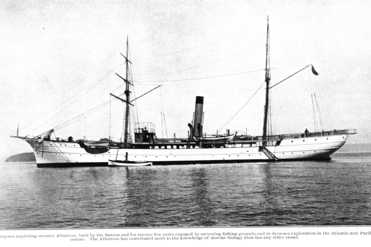 Research Image