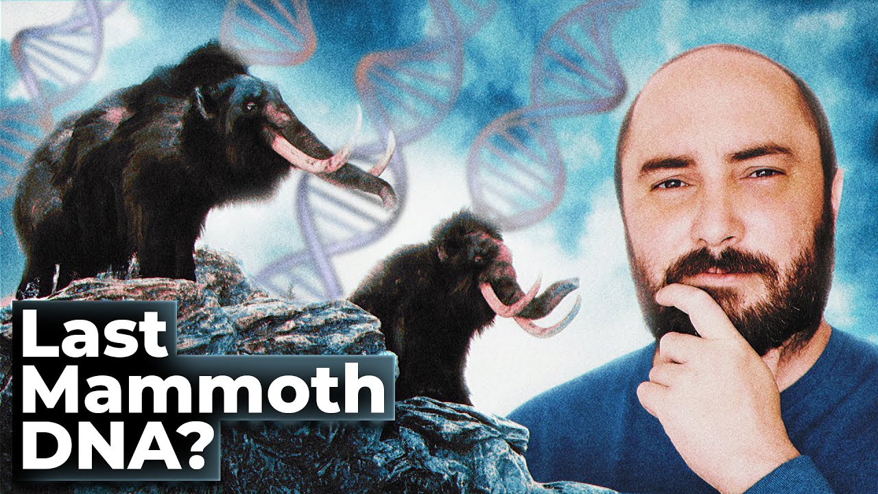 Thumbnail of Woolly Mammoth Video